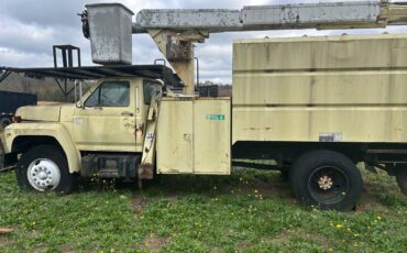 Ford-f800-1987-brown-4