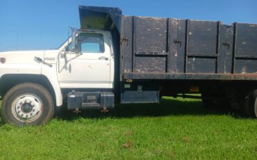 Ford-f8000-1989-white-2