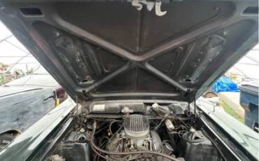 Ford-fairlane-1967-green-12