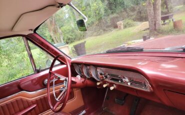 Ford-fairlane-500-1962-brown-4
