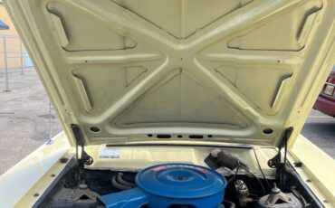 Ford-fairlane-500-1969-18