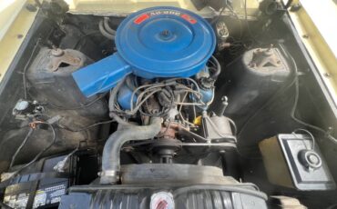 Ford-fairlane-500-1969-19