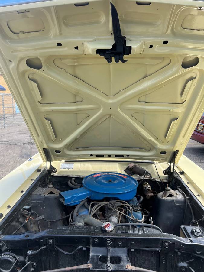 Ford-fairlane-500-1969-48