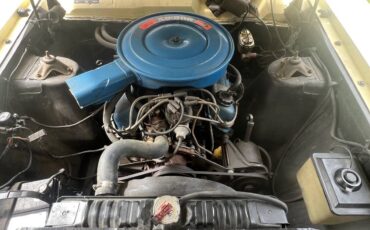 Ford-fairlane-500-1969-50