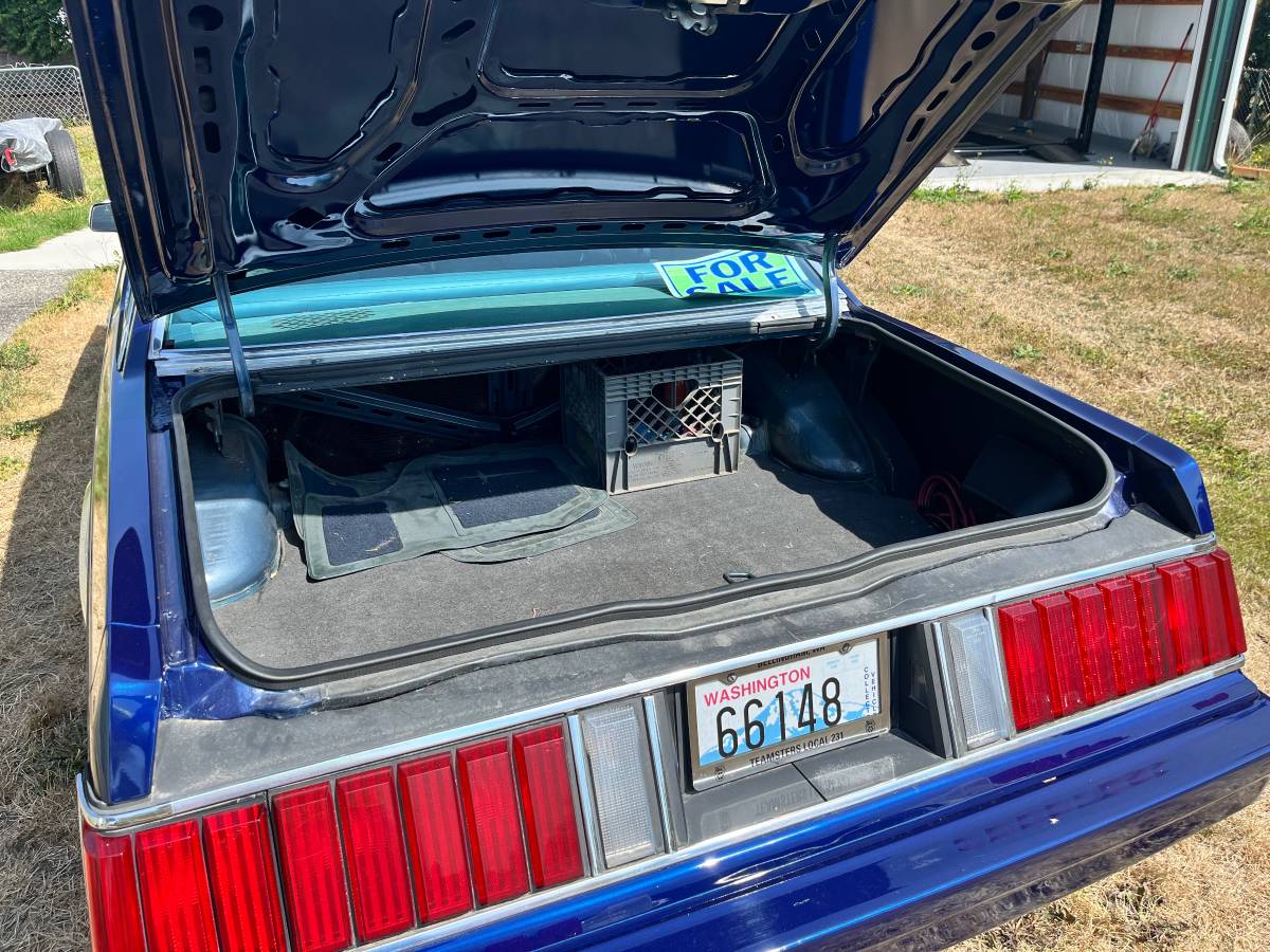 Ford-fairmont-1980-6
