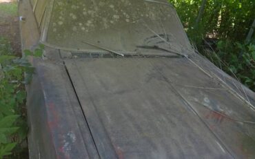 Ford-galaxie-500-1965-blue-3