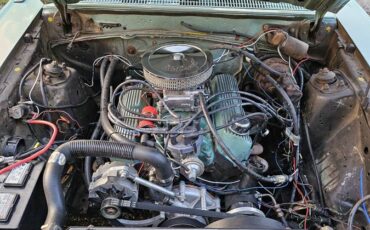 Ford-granada-1981-green-11