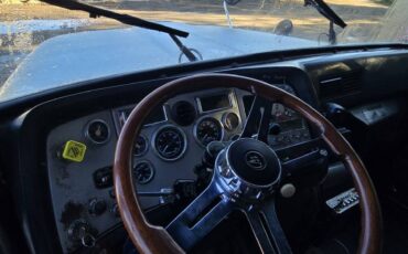 Ford-lt9000f-diesel-1995-silver-9