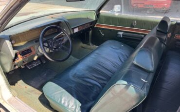 Ford-ltd-1971-green-5