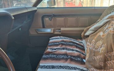 Ford-ltd-landau-1975-brown-19