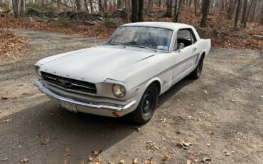 Ford-mustang-1965-grey-1