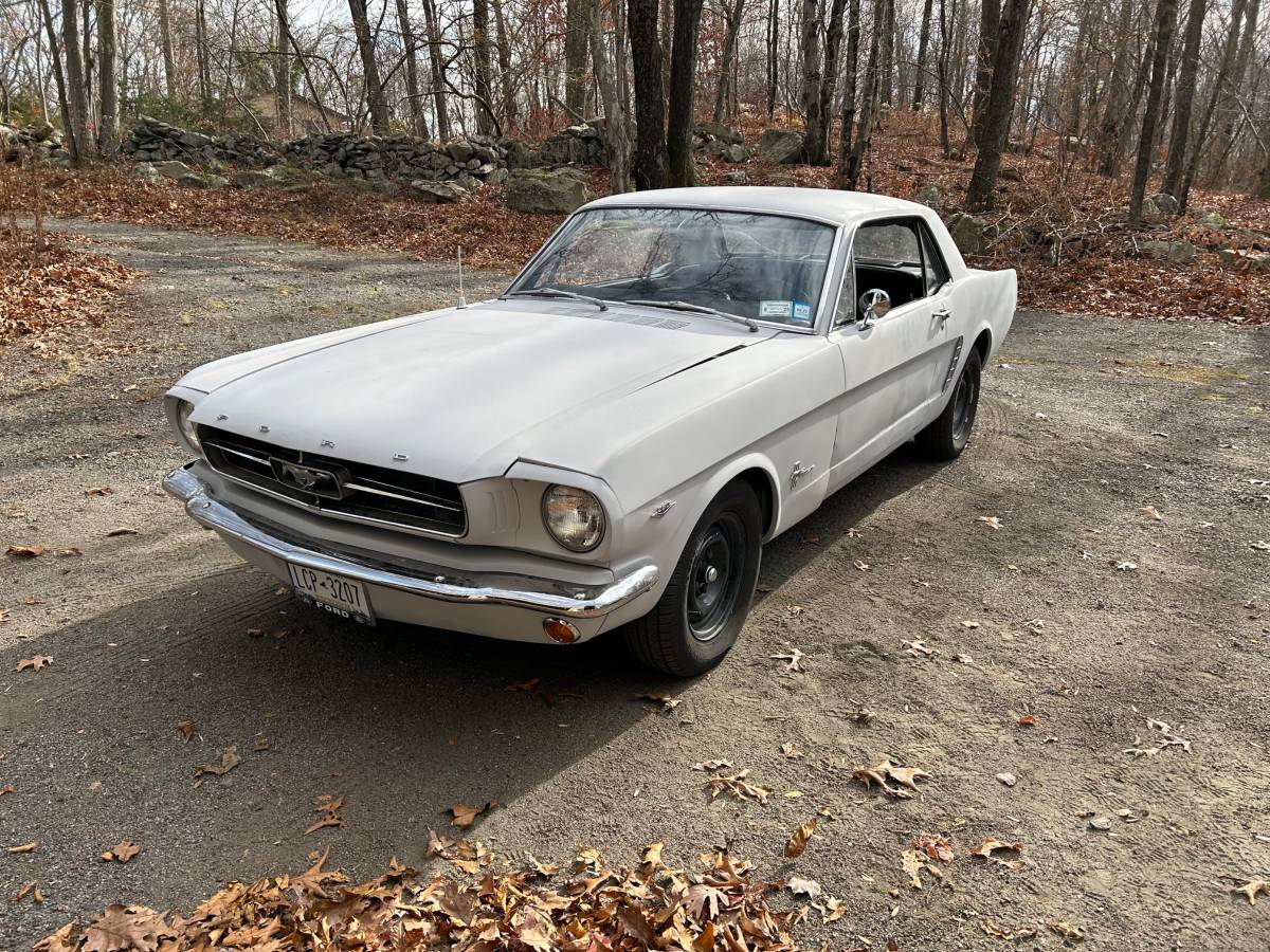 Ford-mustang-1965-grey-1