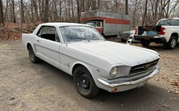 Ford-mustang-1965-grey-14