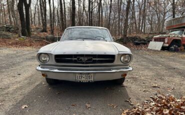 Ford-mustang-1965-grey