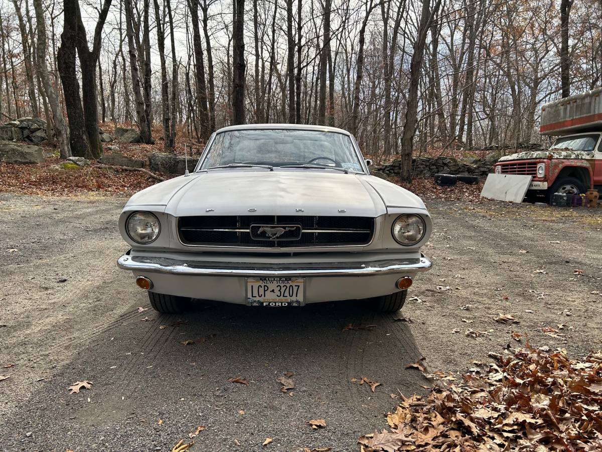 Ford-mustang-1965-grey
