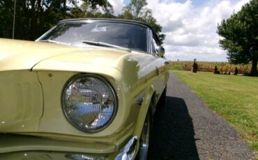 Ford-mustang-1965-yellow-2