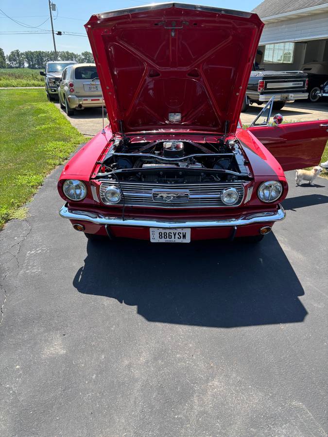 Ford-mustang-1966-2