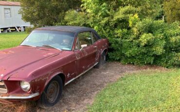 Ford-mustang-1967-red-1