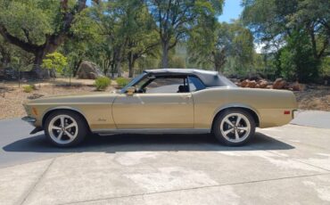 Ford-mustang-convertible-1970-1