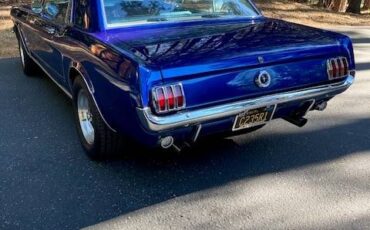 Ford-mustang-coupe-1965-blue-13