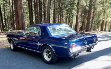 Ford-mustang-coupe-1965-blue-5