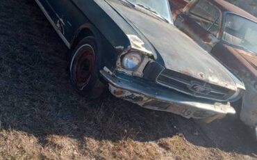 Ford-mustang-coupe-1966-blue-3