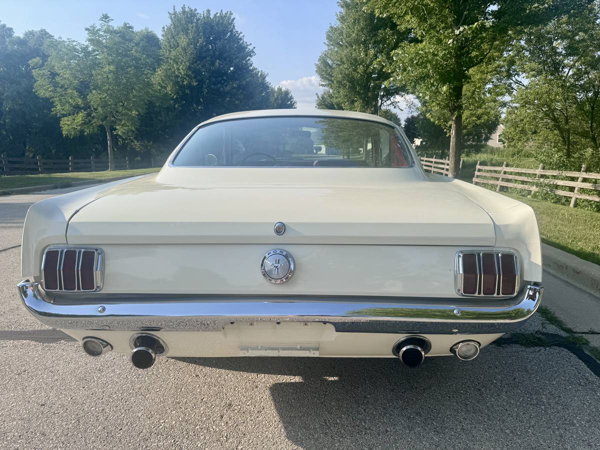 Ford-mustang-fastback-22-1966-white-11