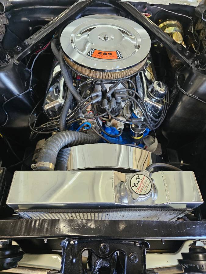 Ford-mustang-fastback-22-1966-white-129