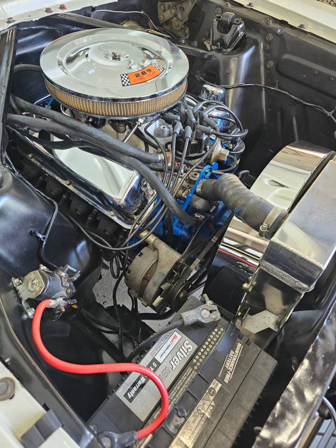 Ford-mustang-fastback-22-1966-white-14