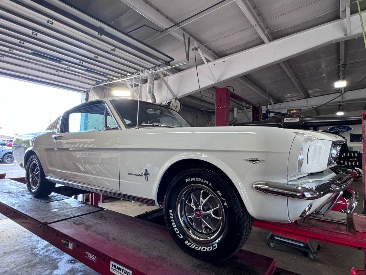 Ford-mustang-fastback-22-1966-white-142