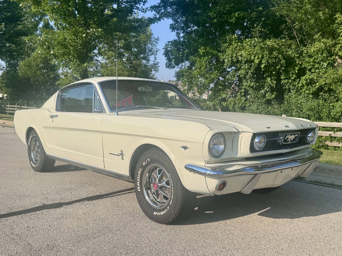 Ford-mustang-fastback-22-1966-white-15