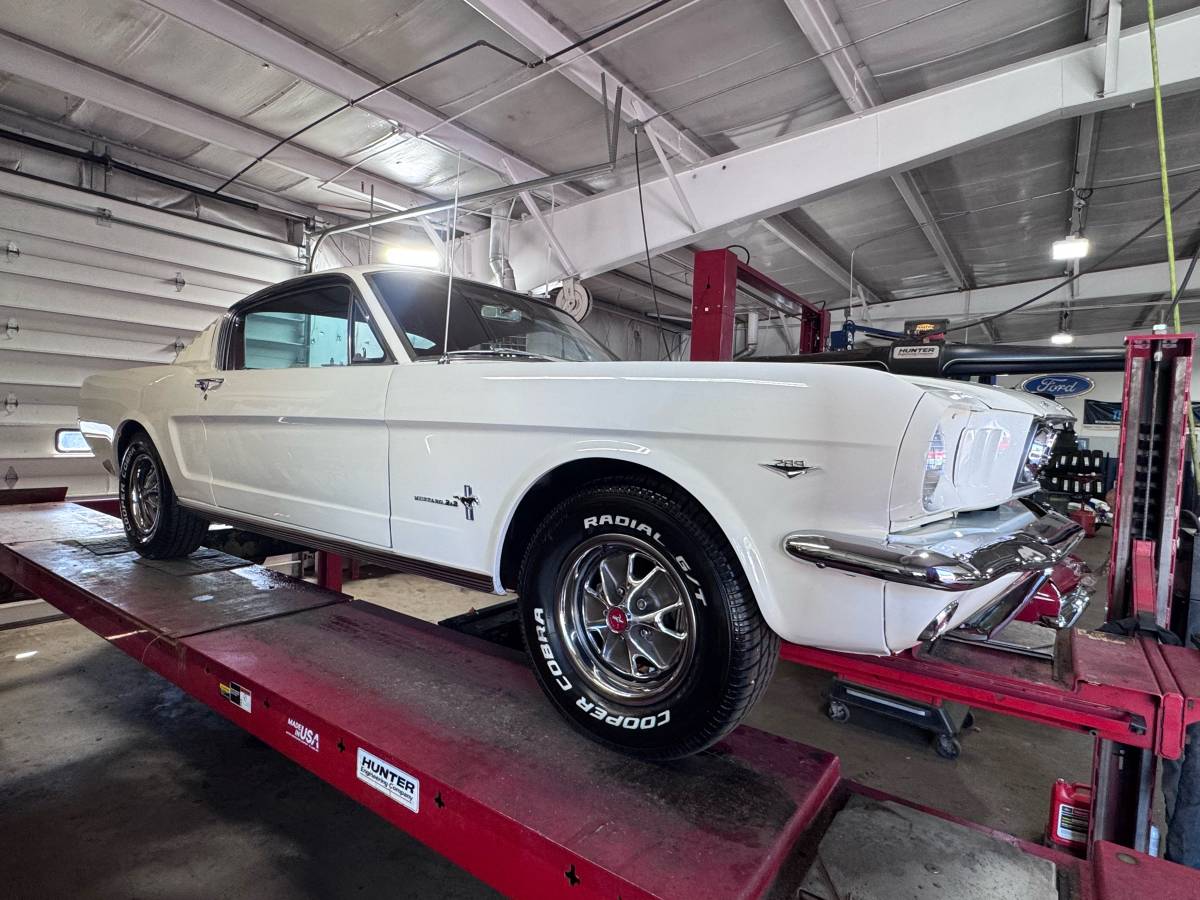 Ford-mustang-fastback-22-1966-white-159