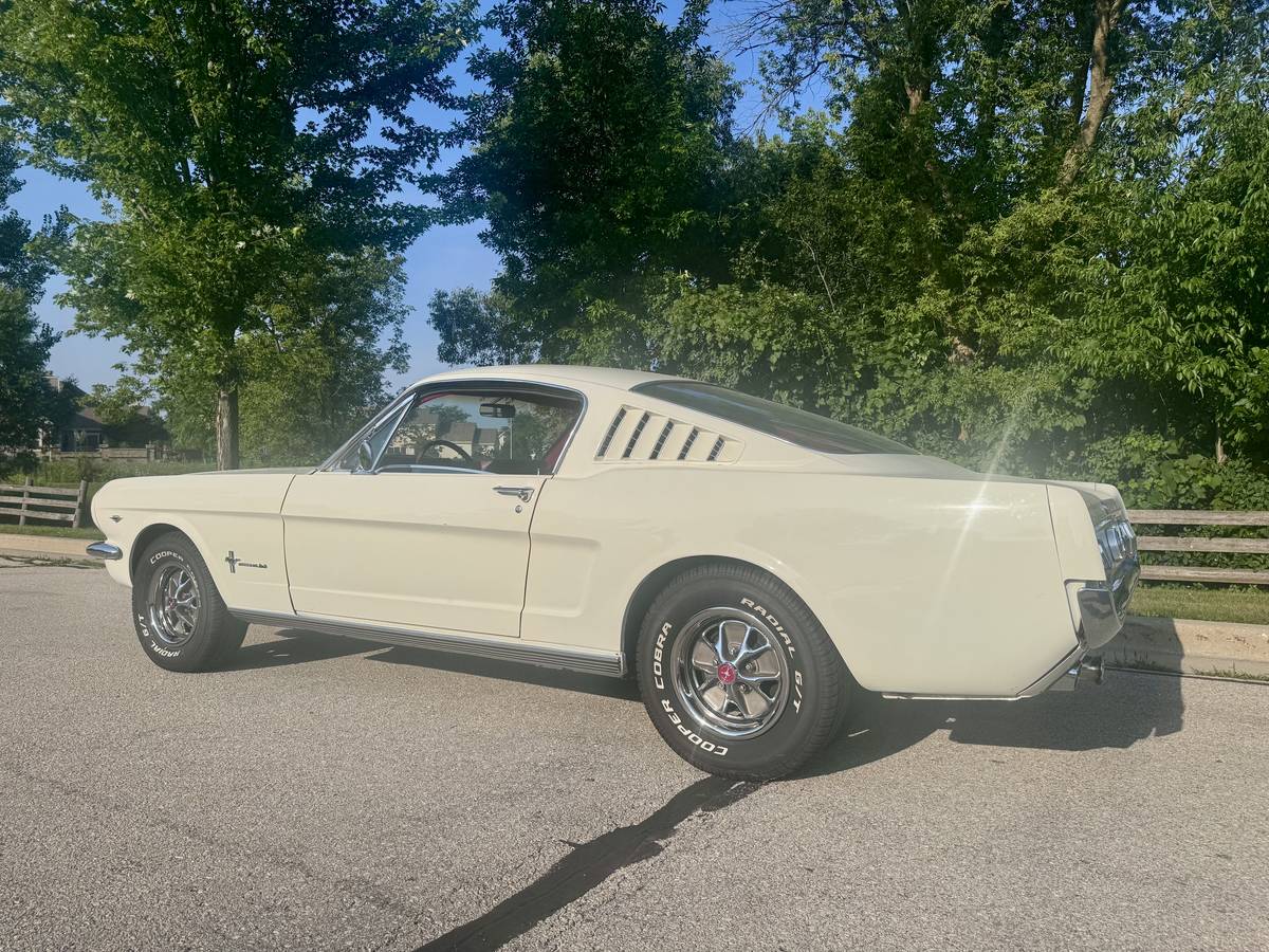 Ford-mustang-fastback-22-1966-white-34