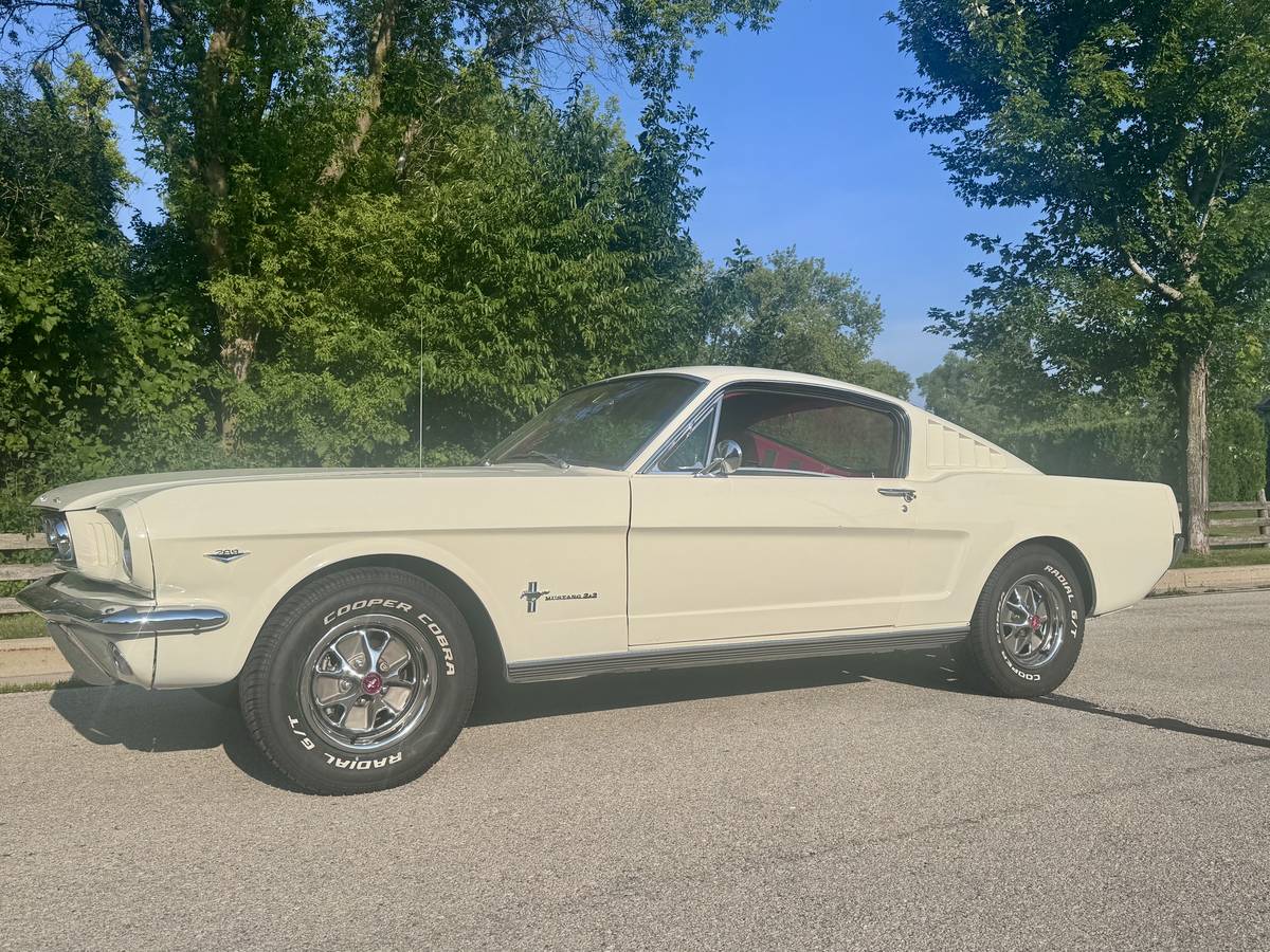 Ford-mustang-fastback-22-1966-white-5