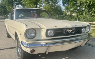 Ford-mustang-fastback-22-1966-white-50