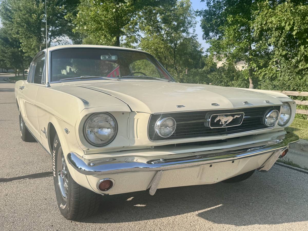 Ford-mustang-fastback-22-1966-white-6