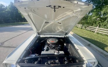 Ford-mustang-fastback-22-1966-white-66