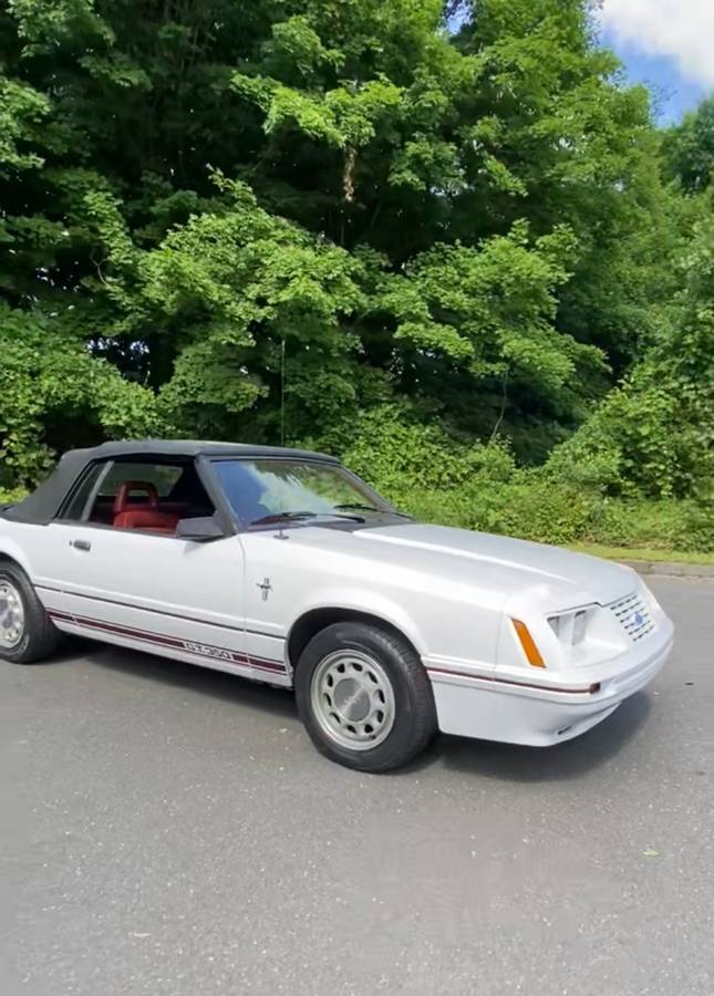 Ford-mustang-gt350-1984-white-1