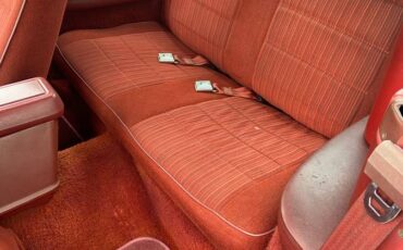 Ford-mustang-gt350-1984-white-13