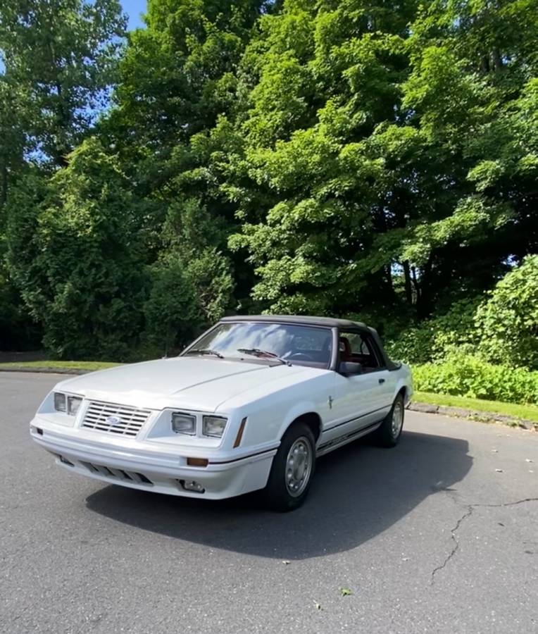 Ford-mustang-gt350-1984-white-2