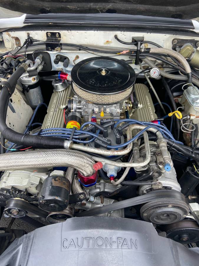 Ford-mustang-gt350-1984-white-3