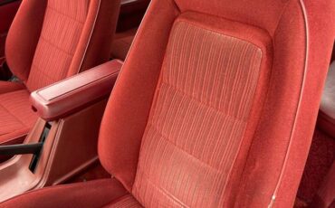 Ford-mustang-gt350-1984-white-7