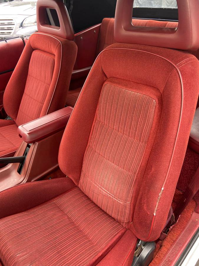 Ford-mustang-gt350-1984-white-7