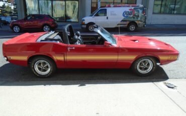 Ford-mustang-gt350-tribute-1969-10