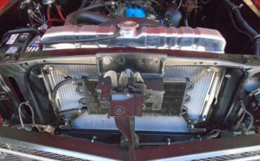 Ford-mustang-gt350-tribute-1969-20