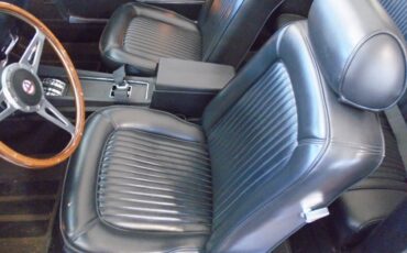 Ford-mustang-gt350-tribute-1969-5