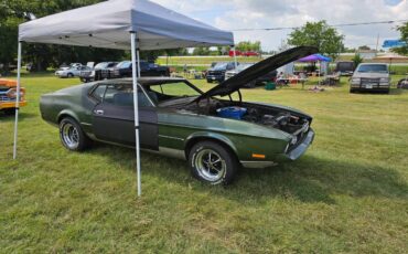 Ford-mustang-mach-1-1971-green