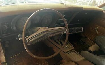 Ford-mustang-mach-1-1973-brown-1