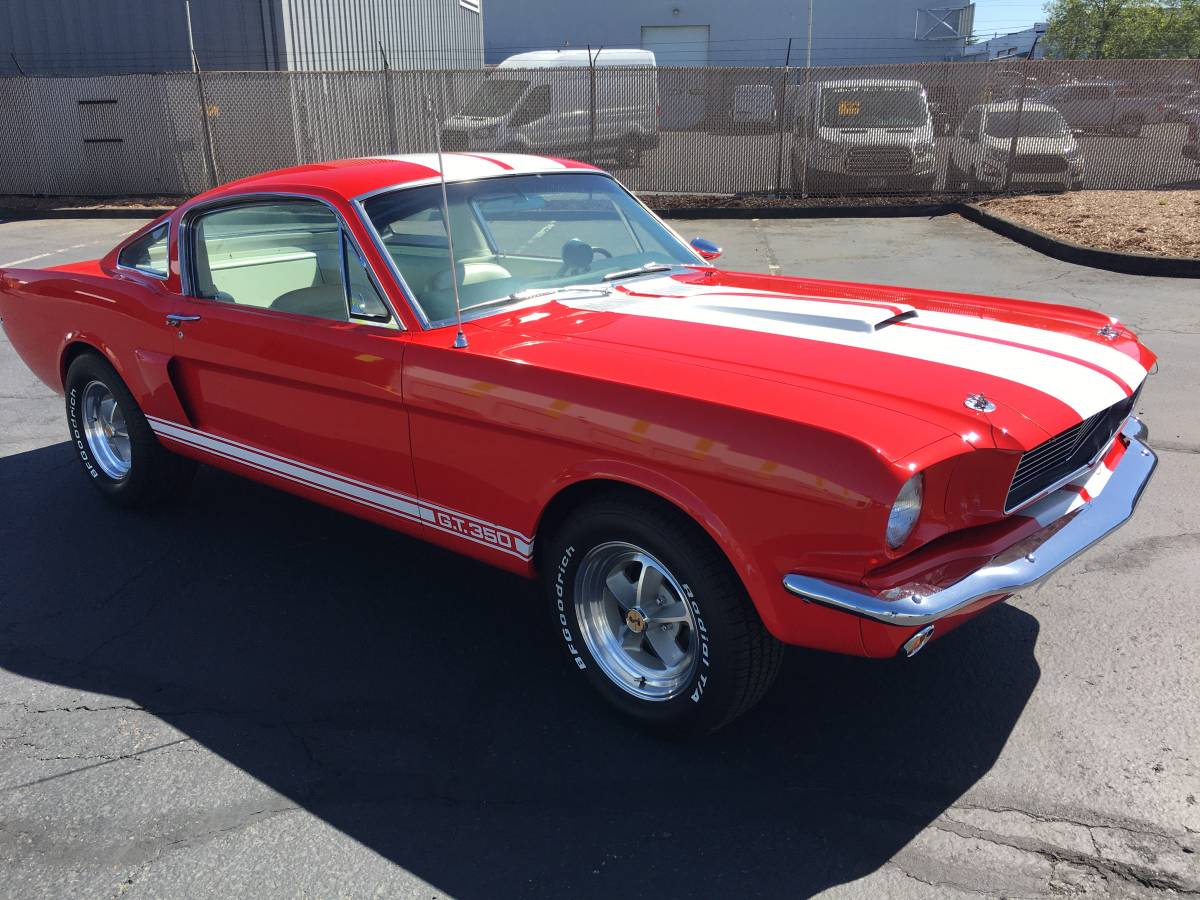 Ford-mustang-shelby-gt350-1965-red-15