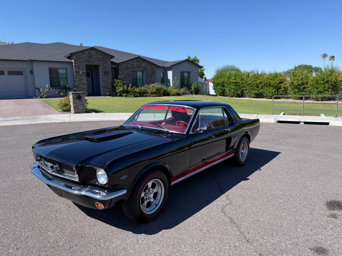 Ford-mustang-shelby-gt350-1966-10
